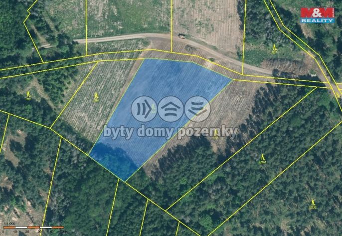 Prodej, Les, Jetětice