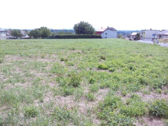 Prodej, Pozemek k bydlení, Ostrava