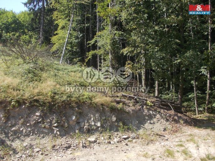 Prodej, Pozemek k bydlení, Pstruží