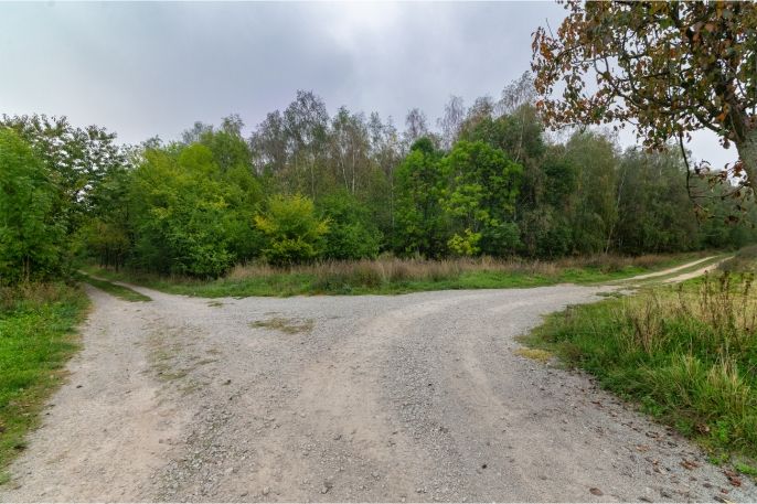 Prodej, Pole, Blíževedly