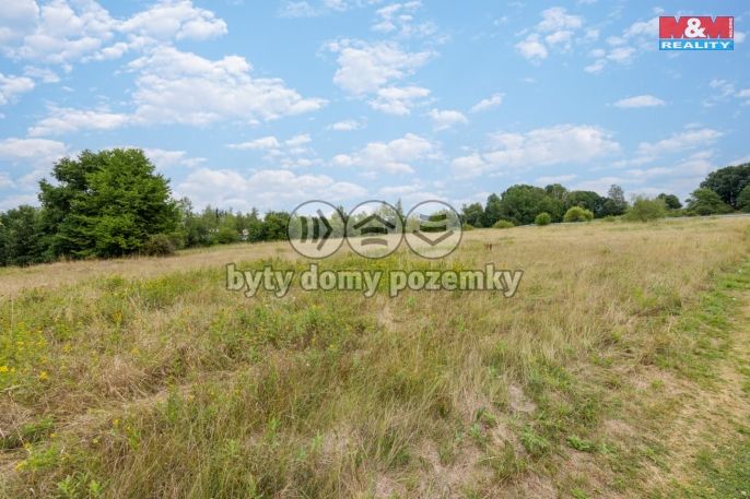 Prodej, Komerční pozemky, Dalovice