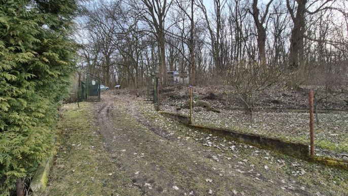 Prodej, Zahrada, Teplice