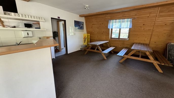 Prodej, Rodinný dům, Plavy