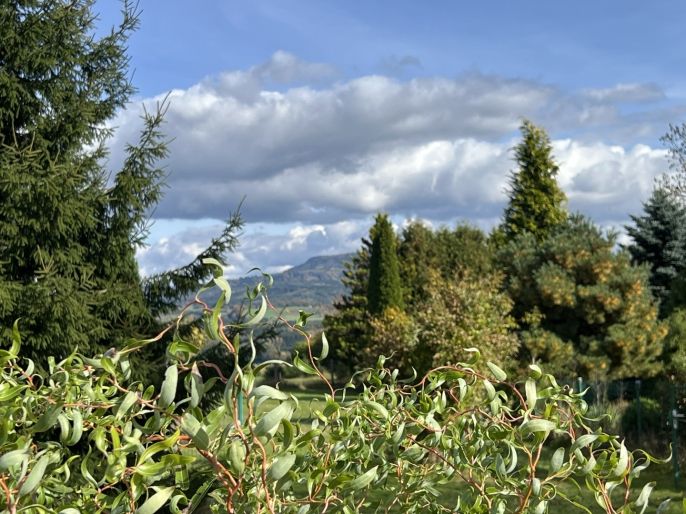 Prodej, Zahrada, Velké Poříčí