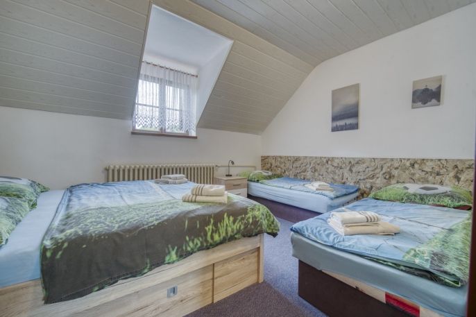 Prodej, Hotel, penzion, Železná Ruda