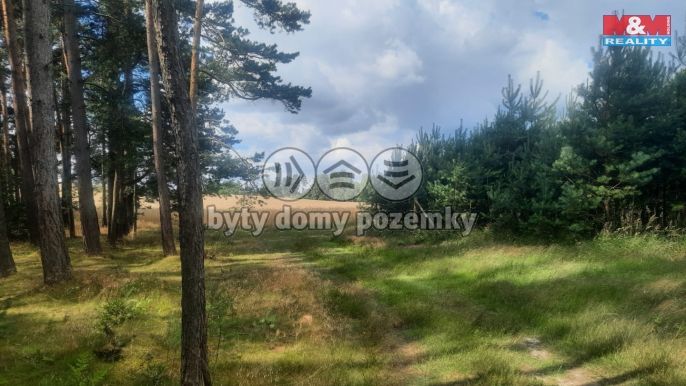 Prodej, Les, Březovice