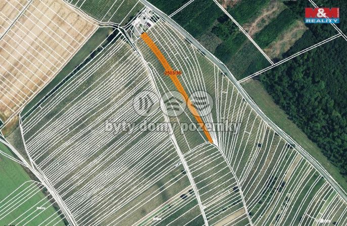 Prodej, Vinice, Dolní Bojanovice