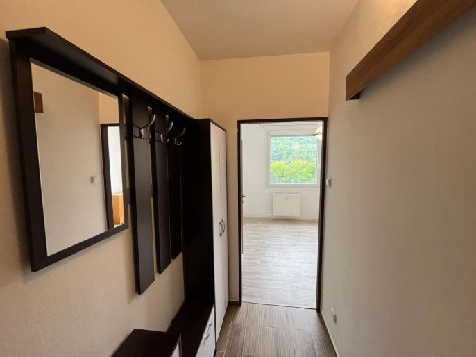 Pronájem, Byt 1+1, Děčín