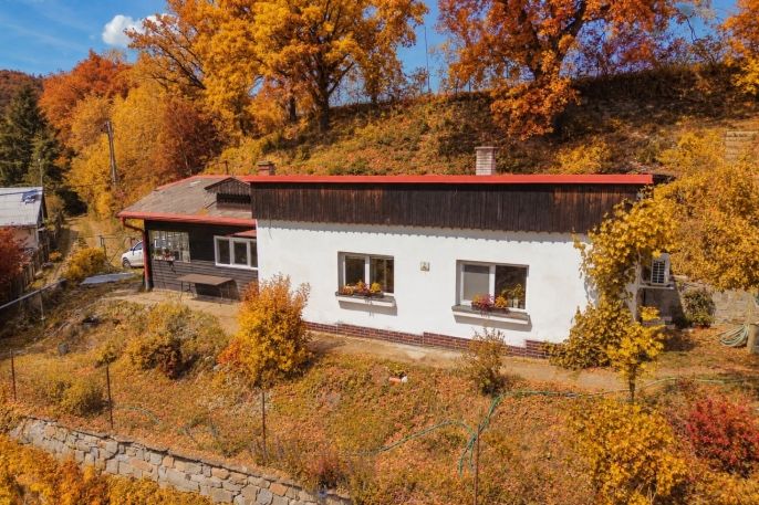 Prodej, Chata, Čižice