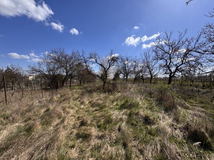 Prodej, Chata, Hrušovany u Brna