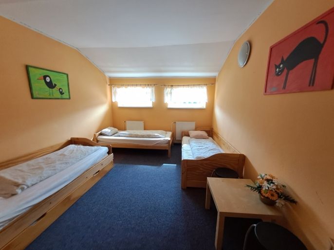 Prodej, Hotel, penzion, Široká Niva