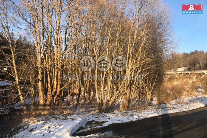 Prodej, Vodní plocha, Železná Ruda