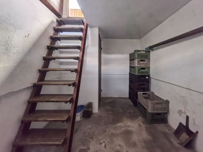 Prodej, Chata, Jablonné nad Orlicí