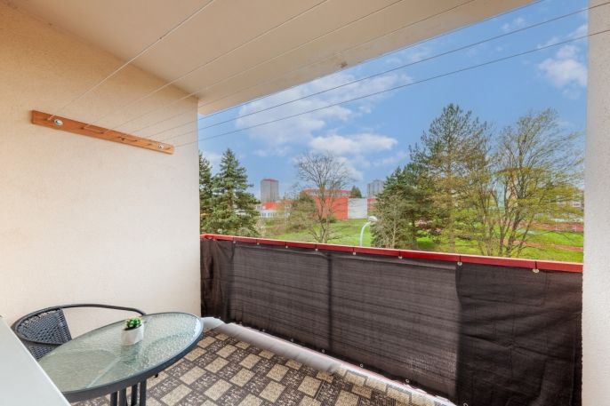 Prodej, Byt 3+1, Cheb