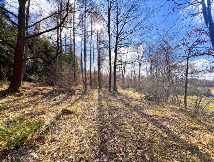 Prodej, Louka, Sušice