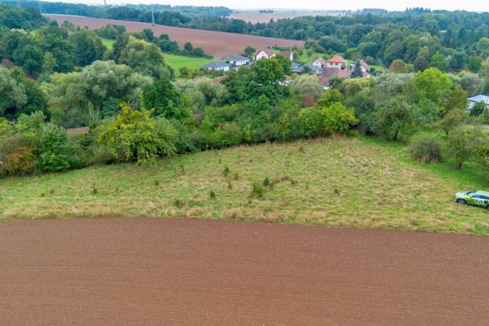 Prodej, Ovocný sad, Žleby