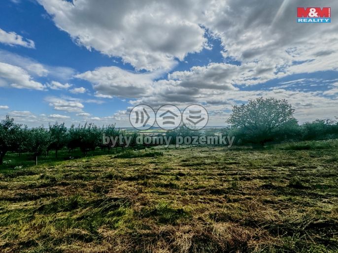 Prodej, Zahrada, Třebenice