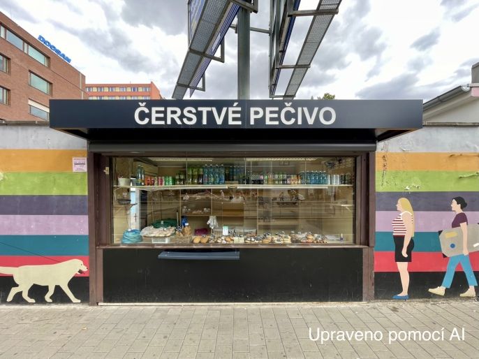 Prodej, Ostatní, Brno