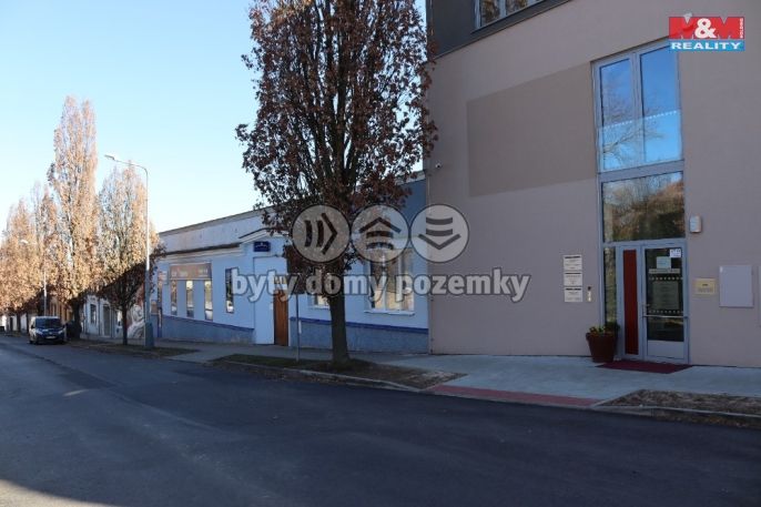 Prodej, Obchodní objekt, Mělník