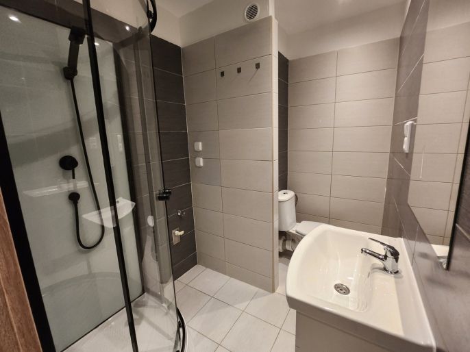 Prodej, Byt 1+1, Louny