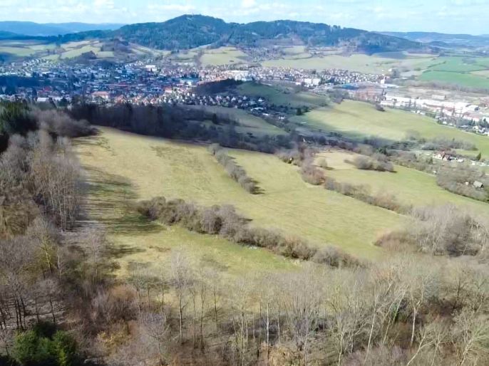 Prodej, Louka, Sušice