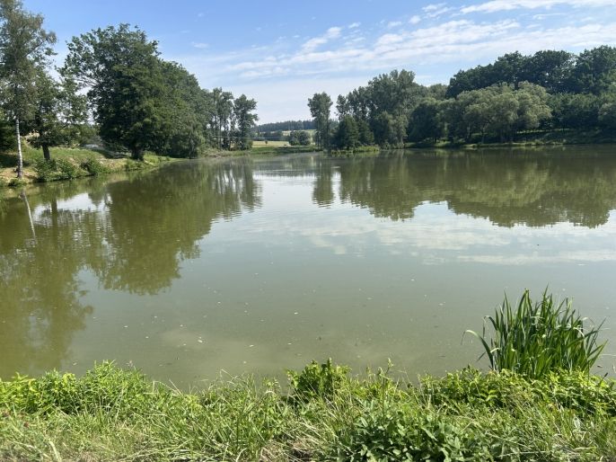 Prodej, Pozemek k bydlení, Zbraslavice