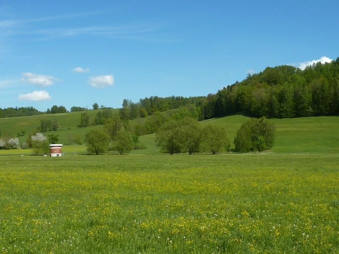 Prodej, Louka, Náchod