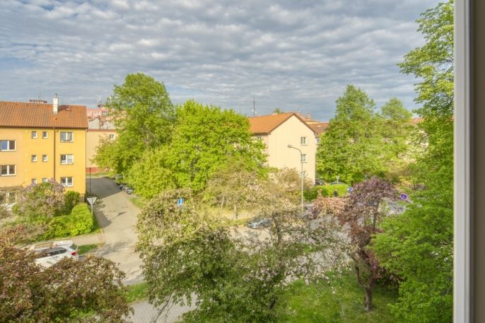 Pronájem, Byt 2+1, Plzeň