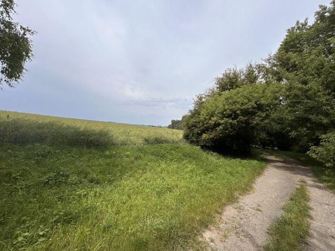 Prodej, Pole, Prostějov