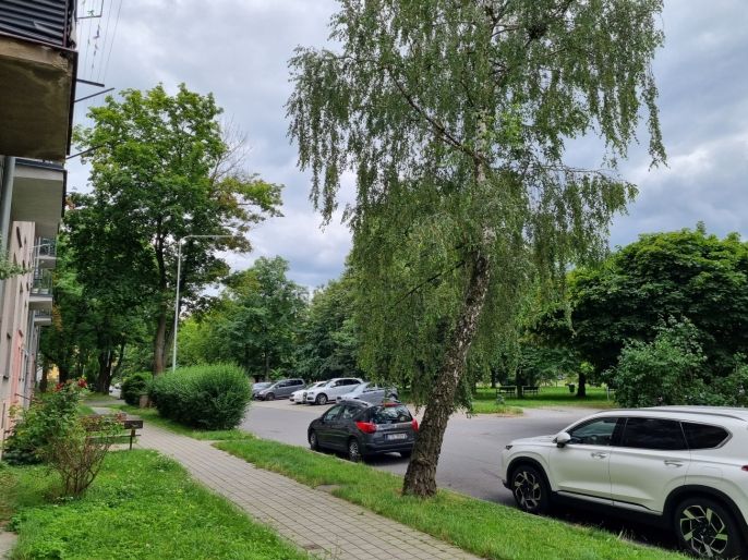 Pronájem, Byt 1+1, Karviná