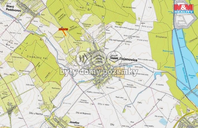 Prodej, Vinice, Dolní Bojanovice