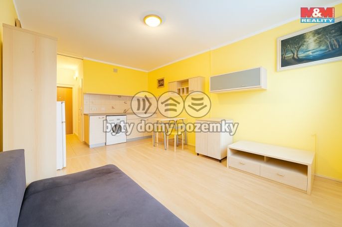 Prodej, Byt 1+kk, 24 m², Nová Role, Nádražní
