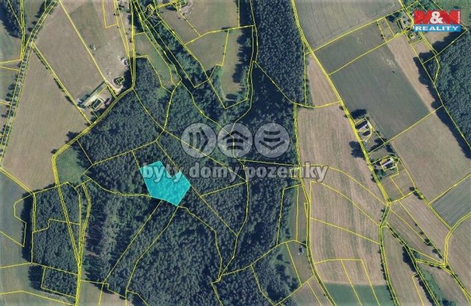 Prodej, Les, Všelibice