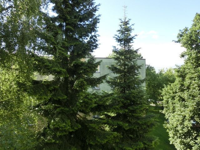 Pronájem, Byt 2+1, Orlová