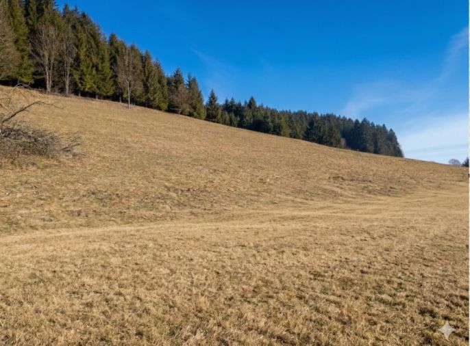 Prodej, Pozemek k bydlení, Korňa