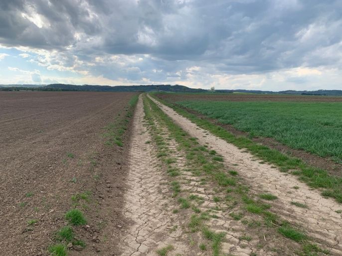 Prodej, Pole, Voděrady
