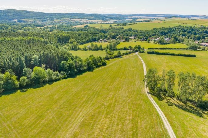 Prodej, Louka, Louňová
