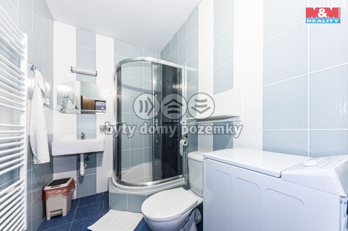 Pronájem, Byt 1+kk, Čáslav