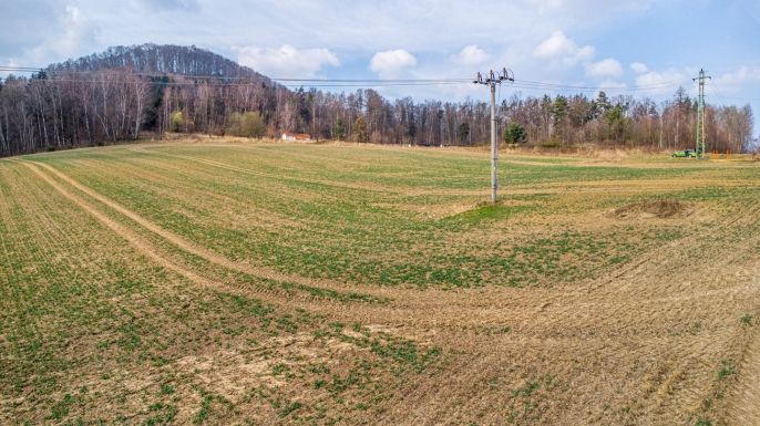 Prodej, Pole, Chotovice