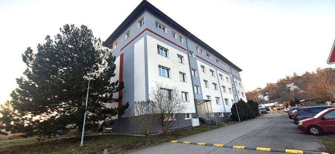 Prodej, Byt 1+kk, Davle