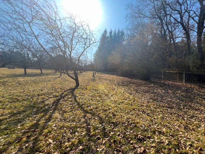 Prodej, Zahrada, Strakonice