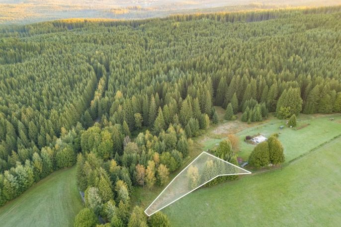 Prodej, Ostatní, Lesná