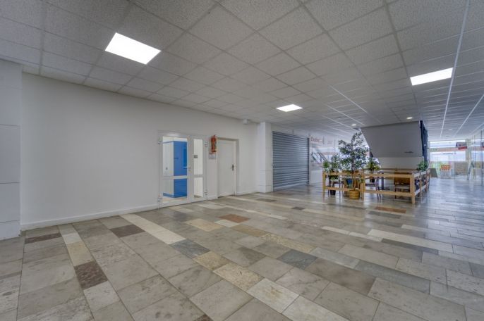 Pronájem, Obchod a služby, Třemošná