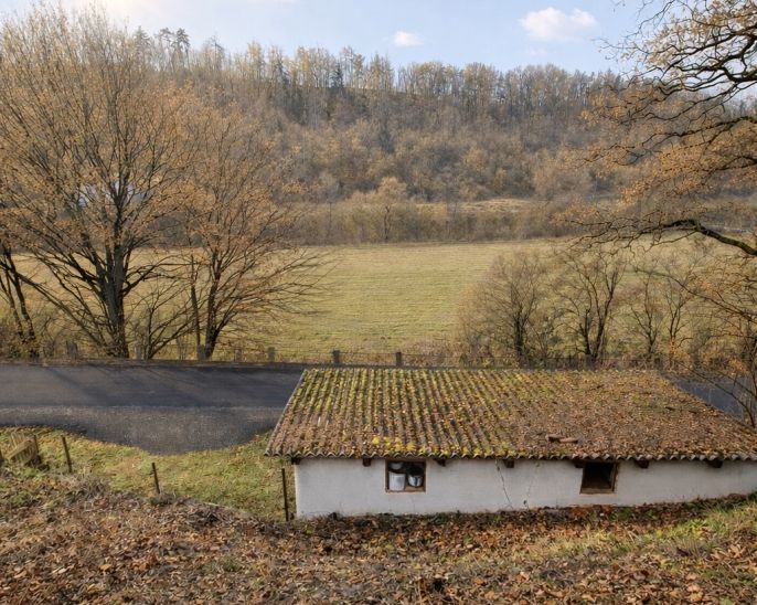 Prodej, Komerční pozemky, Břasy