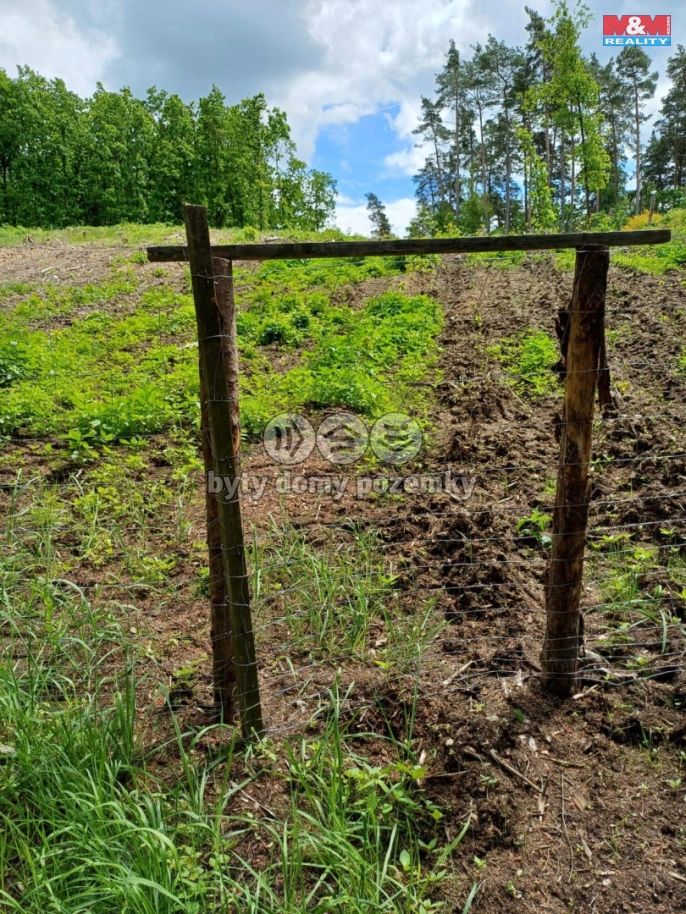 Prodej, Les, Hrazany