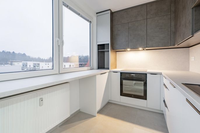 Prodej, Byt 3+1, Písek