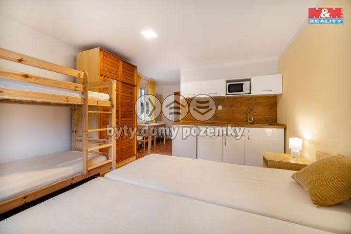 Prodej, Hotel, penzion, Bartošovice v Orlických horách