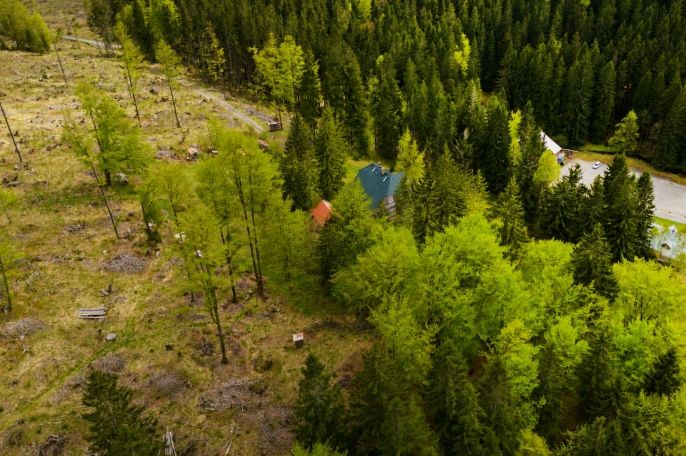 Prodej, Louka, Harrachov