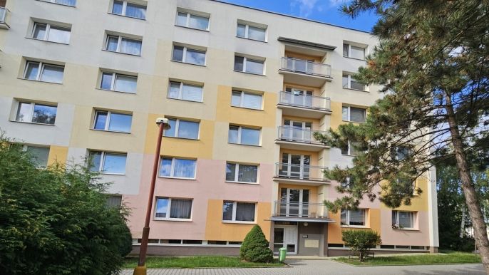 Pronájem, Byt 3+1, Rychnov nad Kněžnou