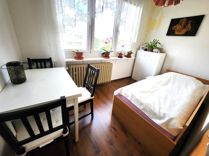 Prodej, Byt 1+1, Louny